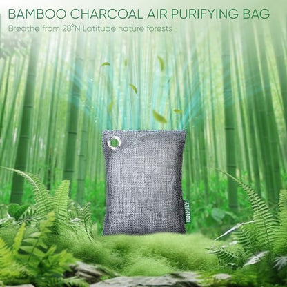 Activated Charcoal Odor Absorber