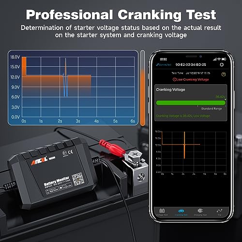 BM300 12V Battery Monitor