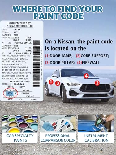 EBL Sunset Drift Touch Up Paint for Nissan