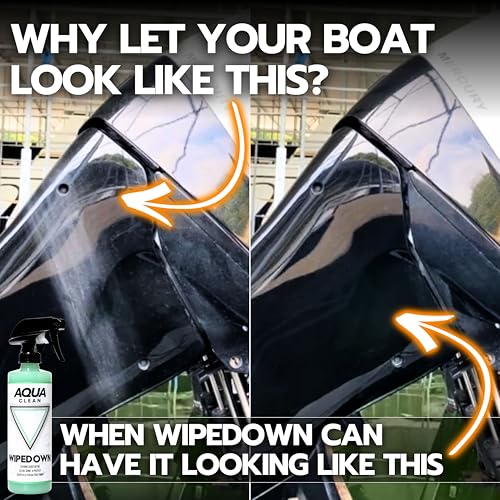 WIPEDOWN Ceramic Quick Detailer Spray & Waterless Wash (16.9 Fl Oz)