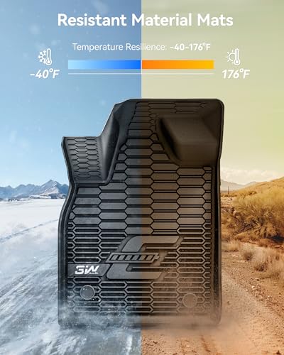 Floor Mats & Cargo Liner for Ford Mustang Mach E 2021