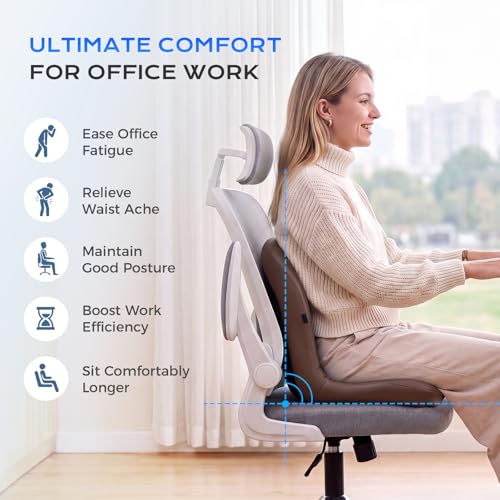Car Seat Cushion and Lumbar Support Pillow One Piece