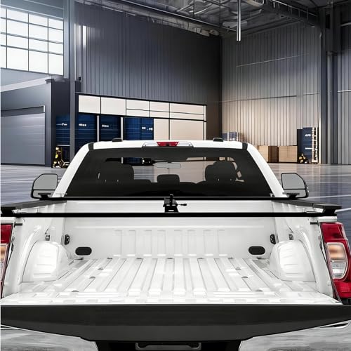 Truck Bed Lifter Box for Pickups Trucks (800 Count)