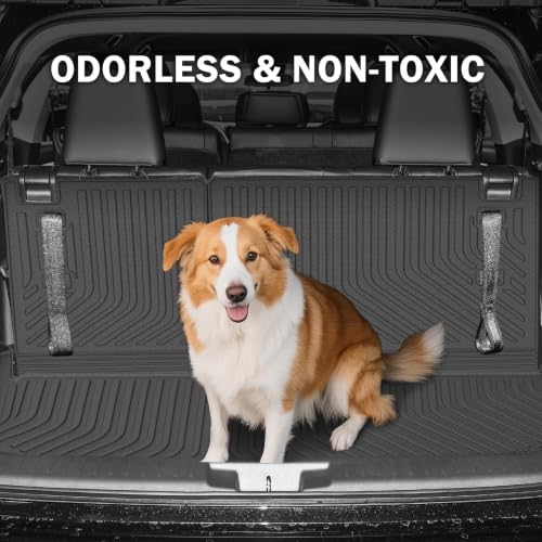 Floor Mats for 2020 (9 Count)