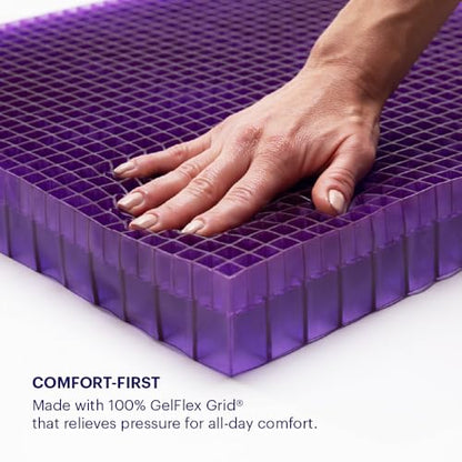 Double Seat Cushion