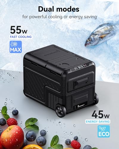12V Car Refrigerator