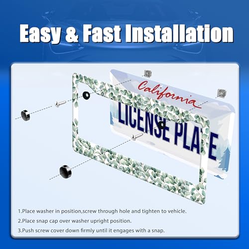 Green Leaf License Plate Frame Stainless Steel Car Accessory 6x12 Inch