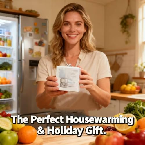 Refrigerator Deodorizer
