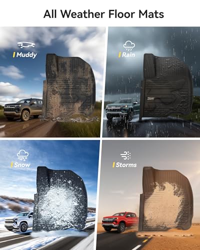 Floor Mats Fit for 2019