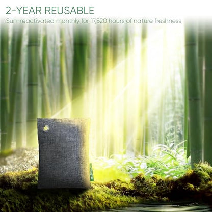 Activated Charcoal Odor Absorber