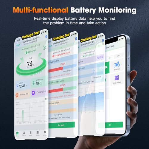 BM300 Pro Battery Monitor