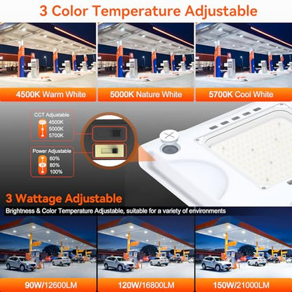 LED Canopy Light with 150W