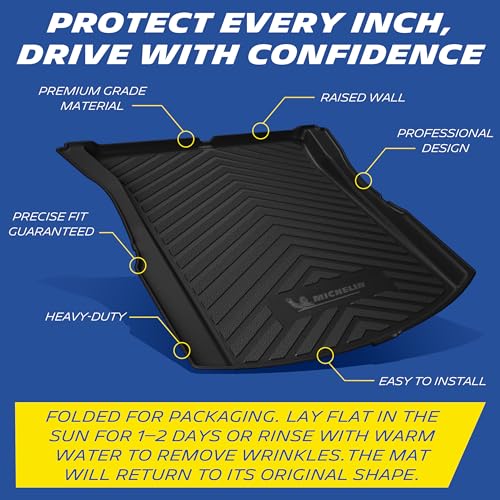 Vehicle Mat for 2024