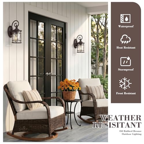Outdoor Porch Light Fixture