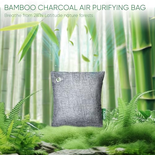 Activated Charcoal Odor Absorber