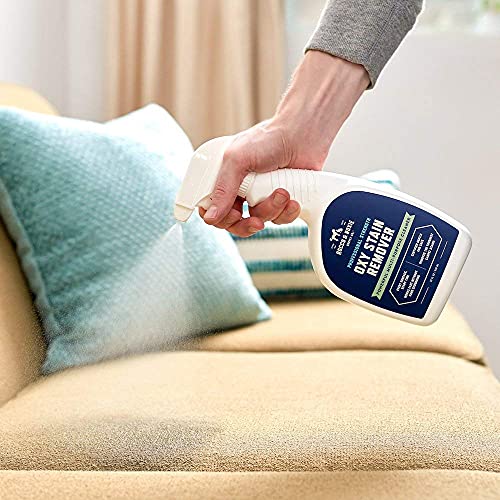 Rocco & Roxie Oxy Stain Remover (32 Fl Oz)