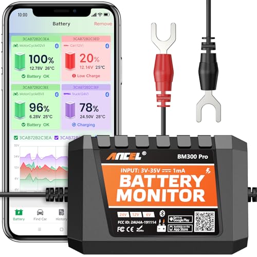 BM300 Pro Battery Monitor