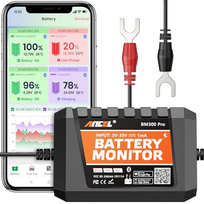 BM300 Pro Battery Monitor
