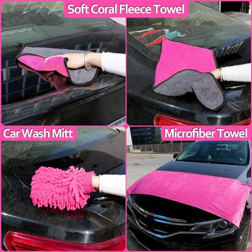 Car Detailing Kit