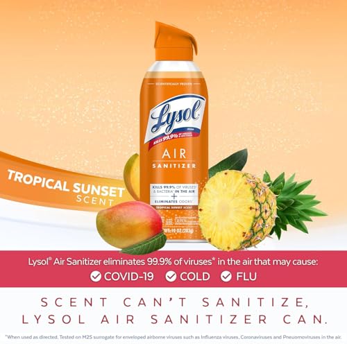 Air Sanitizer Spray (30 Fl Oz)