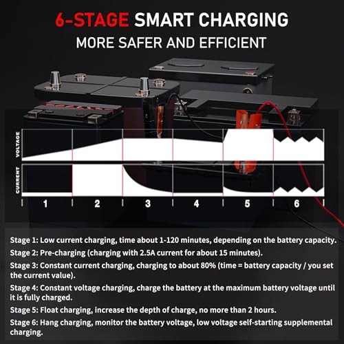 30Amp Smart Car Battery Charger