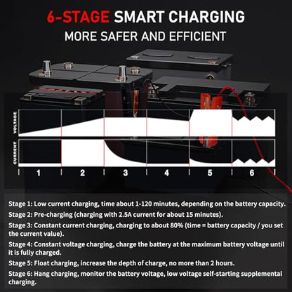 30Amp Smart Car Battery Charger