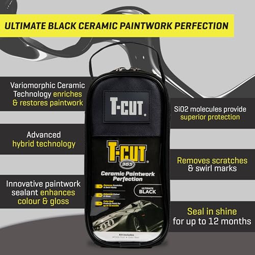 Paintwork Perfection Kit