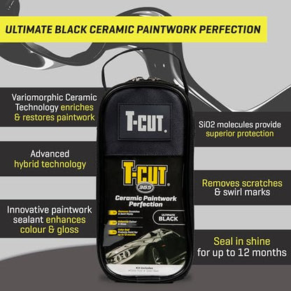 Paintwork Perfection Kit