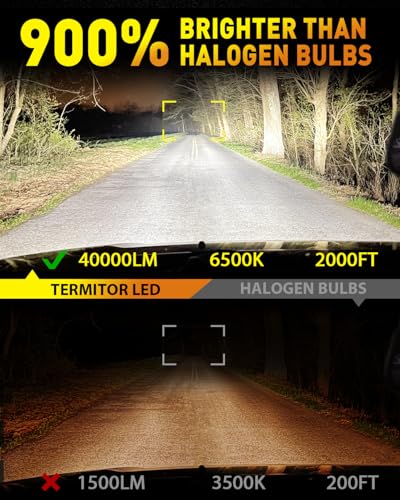 H7 Light Bulbs