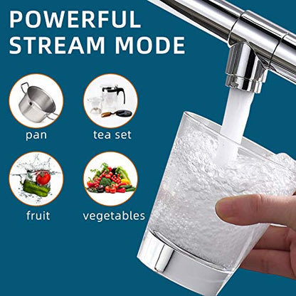 Chrome Kitchen Faucet with Sprayer
