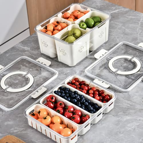 Divided Veggie Tray with Lid and Handle 4 Compartment Serving Tray Portable Travel Snack Storage Containers Stackable Snackle Box Charcuterie Container for Fruit