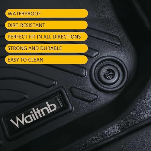 Floor Mats Custom for 2018