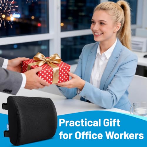 Lumbar Support Pillow for Office Chair