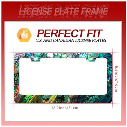 Faux Abalone Shell License Plate Frame Stainless Steel 2