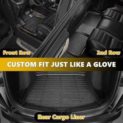 Floor Mats & Cargo Liner for 2011