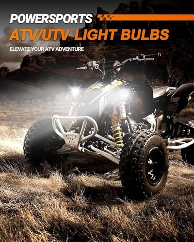 H13 LED Bulbs