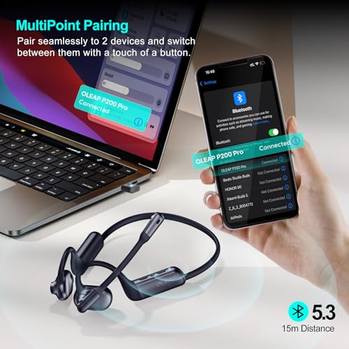 P200b Pro Wireless Headset with Microphone for Work