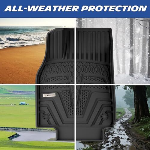 Vehicle Mat for 2025