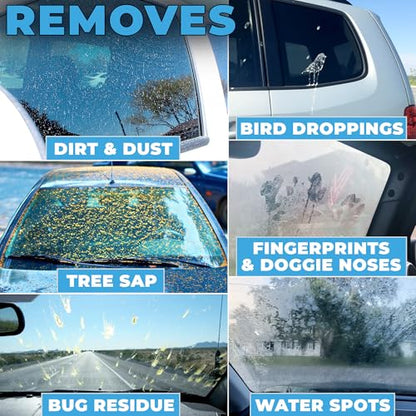 Window and Glass Cleaner Streak Free for Cars (16 Fl Oz)
