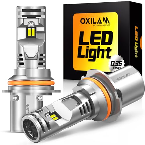 9007 LED Light Bulb (2 Count)