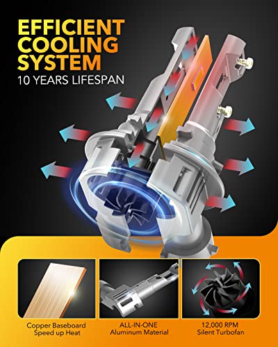 H11 9005 Light Bulbs Combo (4 Count)