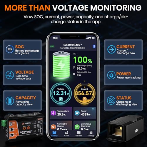 BM1000 Bluetooth Battery Monitor with 400A Smart Shunt