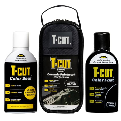 Paintwork Perfection Kit