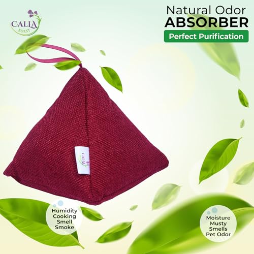 4 Pack Bamboo Charcoal Air Purifier Bags 200 Grams Each (28.2 Ounce)
