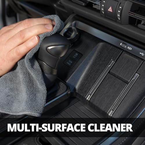 Rapid Ceramic Interior Detailer and Protectant (14 Fl Oz)