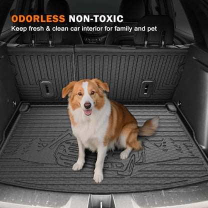 Floor Mats for 2021 (6 Count)
