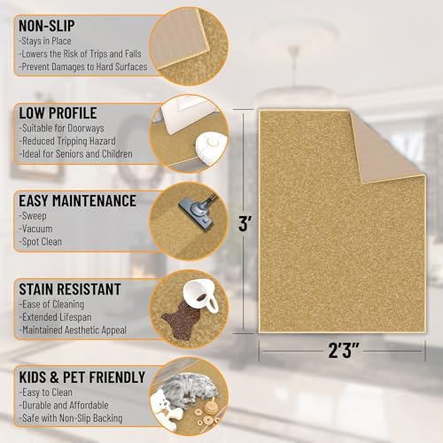 2x3 Entryway Rug
