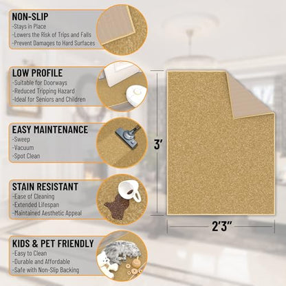 2x3 Entryway Rug