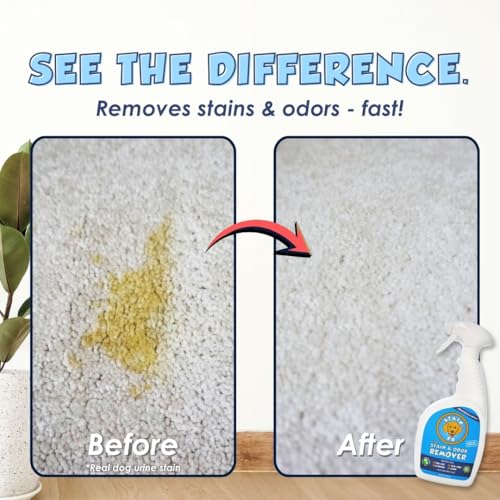Pet Stain & Odor Remover (24 Fl Oz)