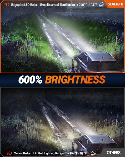 D4S D4R HID BULBS (2 Count)
